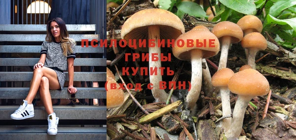 Альфа ПВП Зеленодольск