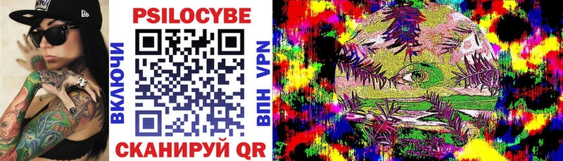 Купить где  Трубчевск  Псилоцибиновые грибы Magic Shrooms 